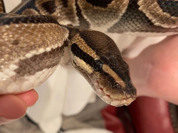 20260717-ごんたヨリ サイズ変更.jpg 20260717-ごんたヨリ サイズ変更.jpg